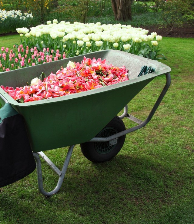 Garden Schubkarre