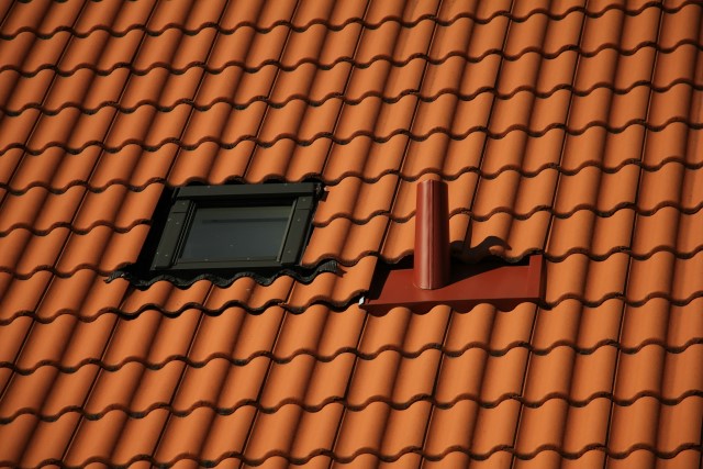Professionelle Dachreinigung