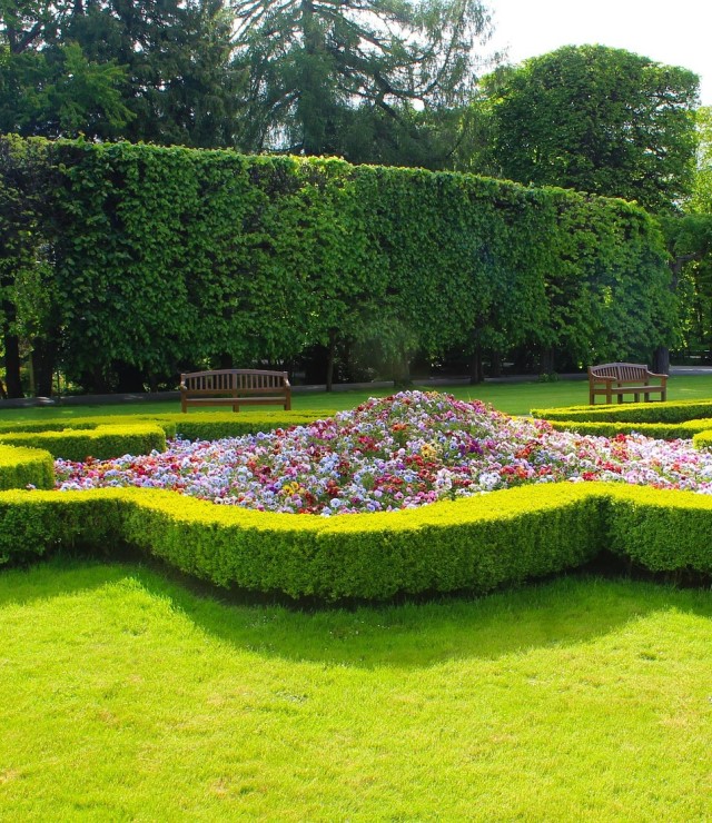 Schöner Garten